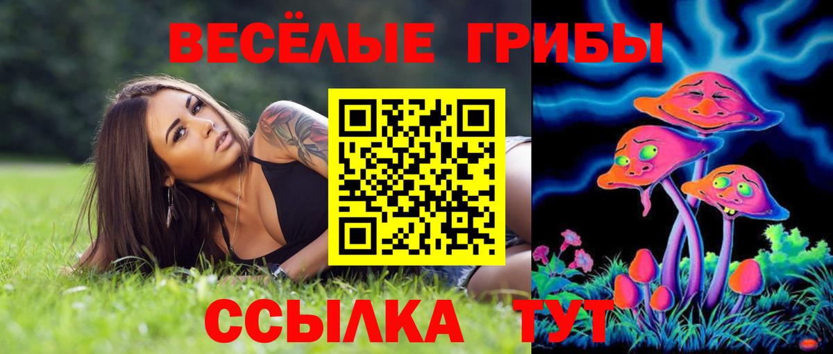 Галлюциногенные грибы прущие грибы Белореченск