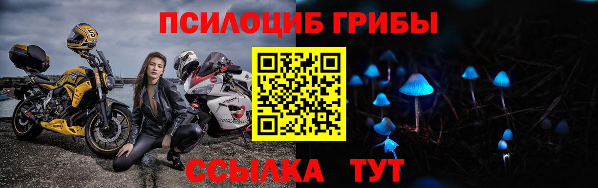 Псилоцибиновые грибы ЛСД  Вход с VPN  Белореченск  Галлюциногенные грибы MAGIC MUSHROOMS 